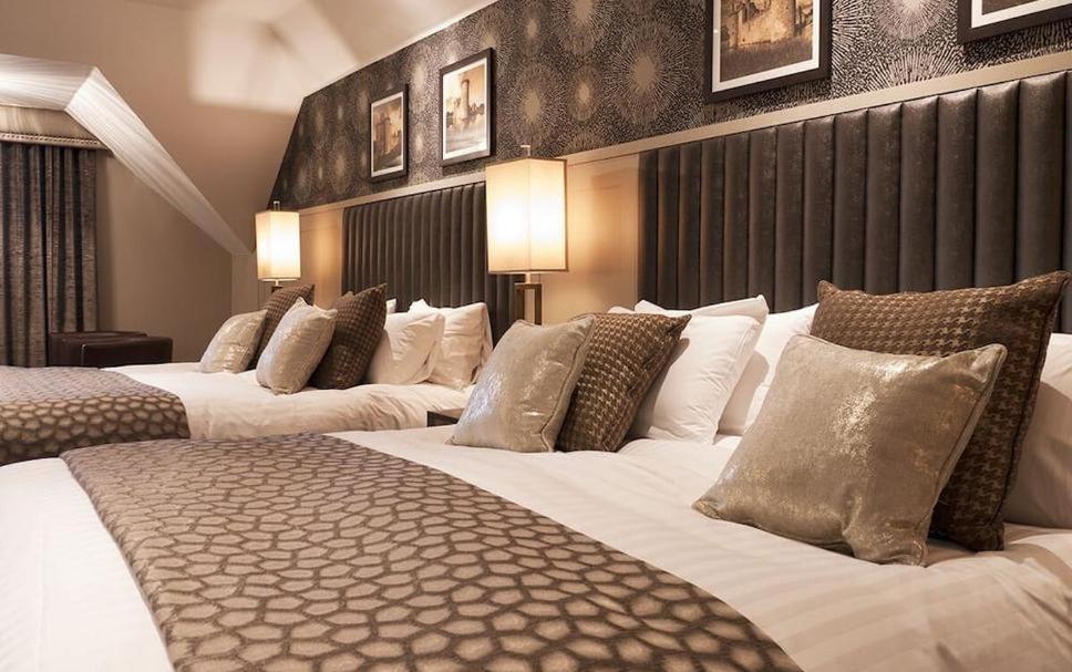 Hotel Tulip Near Delhi Airport Nové Dillí Pokoj fotografie